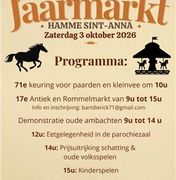 Jaarlijkse Rommel en antiekmarkt t.g.v. kermis
